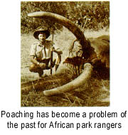 Elephant and park ranger