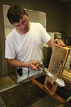 Bill Owens holds a honey frame or “super” and uses a heated knife to cut away the wax cappings so he can extract the honey inside. 