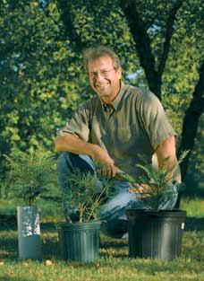Forest biotechnologist Jeff Dean is heading the effort to catalog the conifer genome. Conifers represent an ancient class of vascular plants that pre-date dinosaurs. 