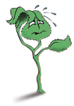 cartoon of a plant wiping sweat from it's brow