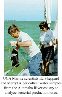 UGA Marine  Scientists